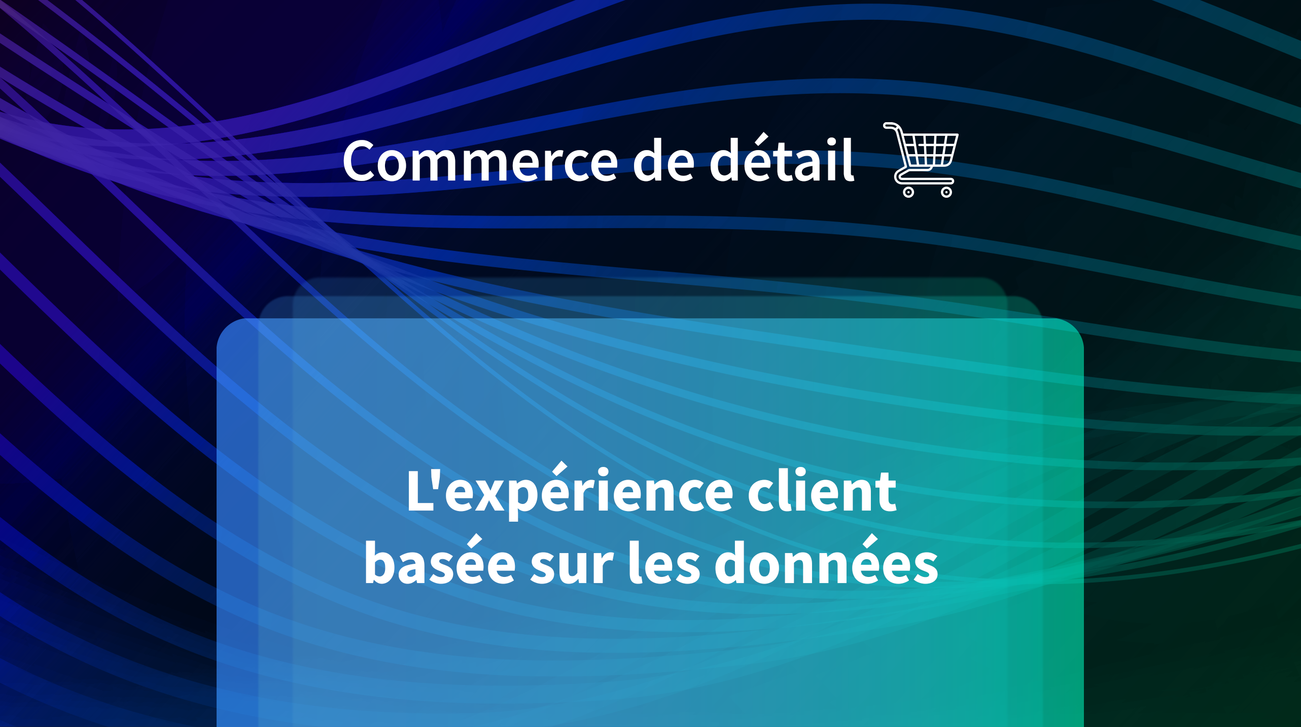 Data-driven Customer Experience – French