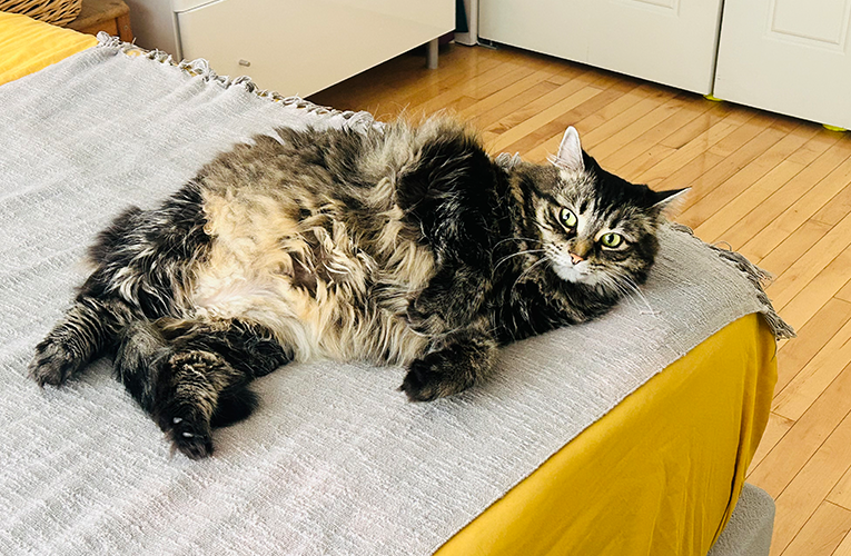 Meet-The-Team-MelanieLeclaire-Photos-3