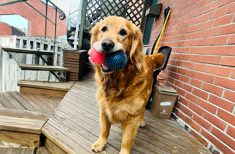 Meet-The-Team-MelanieLeclaire-Photos-4